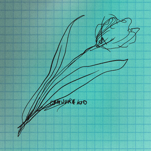 无套内谢少妇毛片A片软件美国
